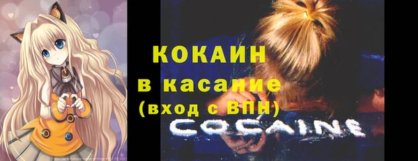 гашик Зерноград
