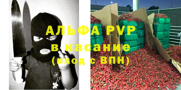 ECSTASY Покров