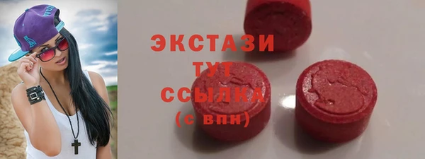 ECSTASY Покров