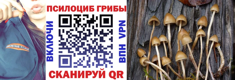 закладка  Ветлуга  Галлюциногенные грибы мухоморы 